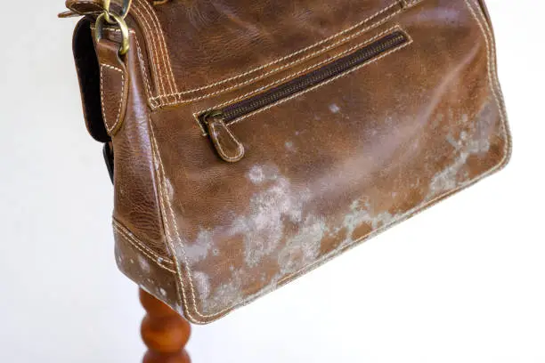 Photo of mould on bag