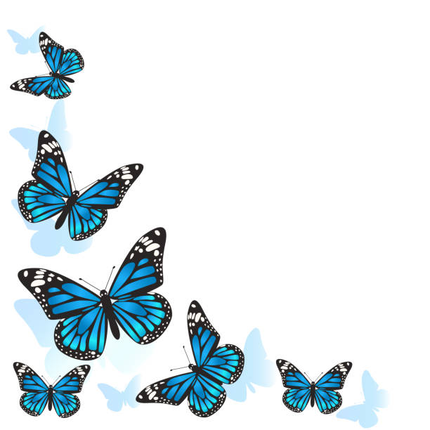 istock Element of design. Frame made of butterflies. Blue butterflies on a white background. vector image 1176249070