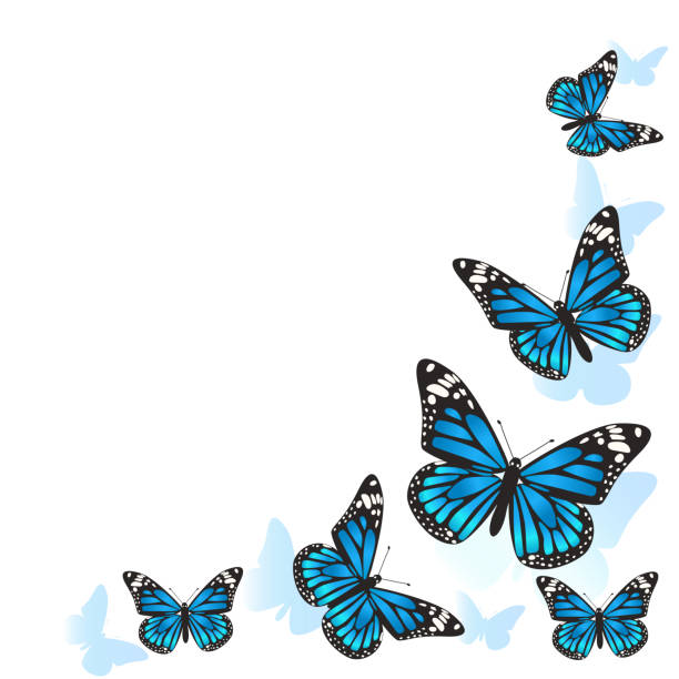 istock Element of design. Frame made of butterflies. Blue butterflies on a white background. vector image 1176249071