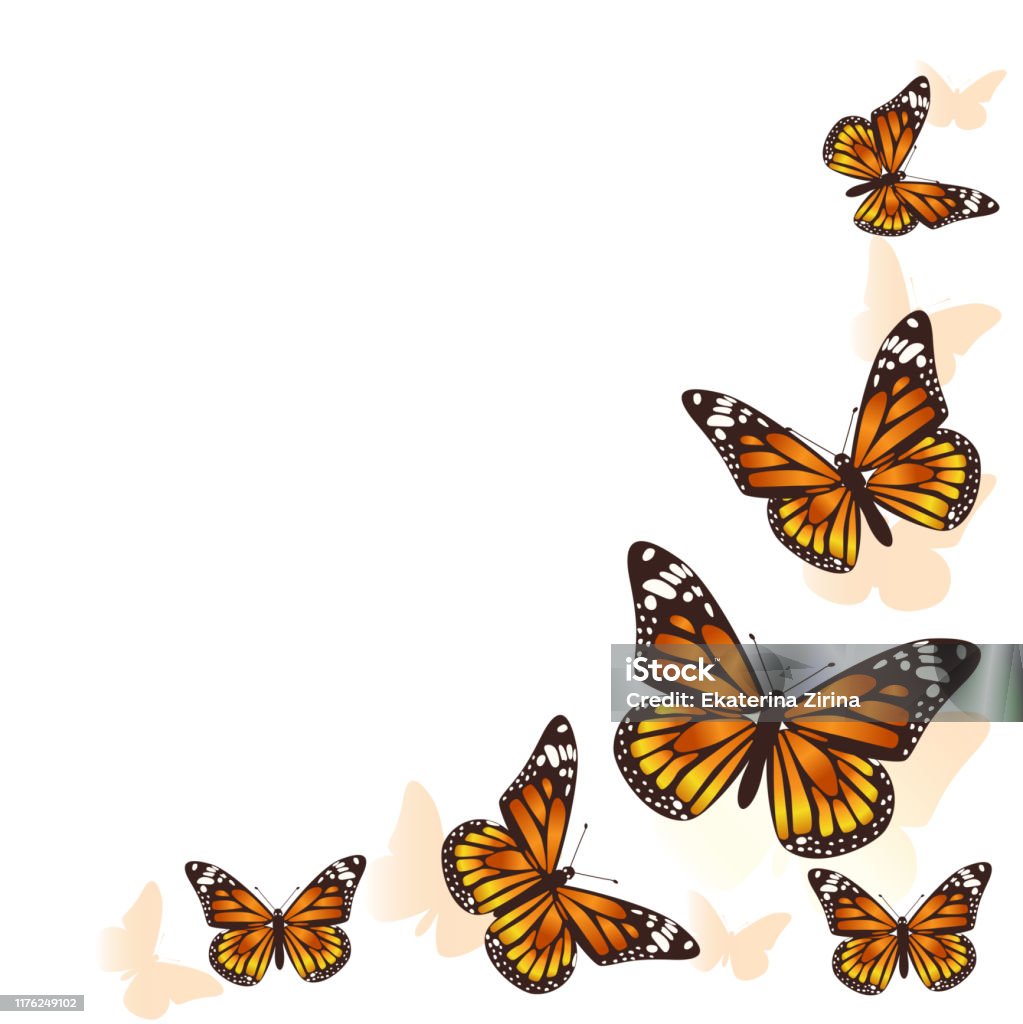 Beautiful Butterfly Background Vector Stock Illustration ...