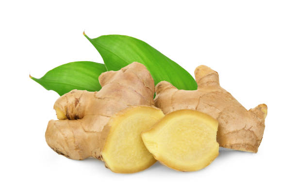 istock fresh ginger with leaves isolated on white background 1176252279
