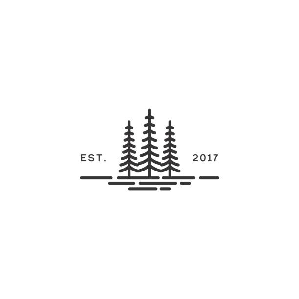 에버그린, 파인 삼나무, 블루 가문비 나무 빈티지 복고풍 힙스터 디자인 - timberland stock illustrations