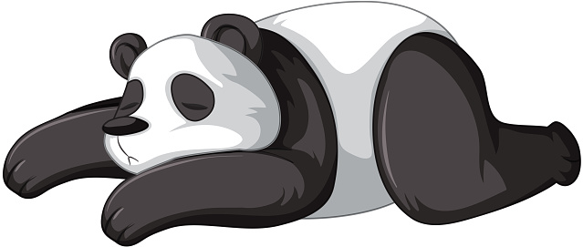 Ilustración de Panda Durmiendo Sobre Fondo Blanco y más Vectores Libres de Derechos de Animal - Animal, Ciencia, Conservación del ambiente - iStock Ilustración de Panda Durmiendo Sobre Fondo Blanco y más Vectores Libres de Derechos de Animal - Animal, Ciencia, Conservación del ambiente - iStock
