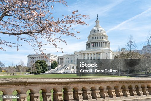istock United States Capitol during national cherry blossom festival in Washington DC, USA 1176260657