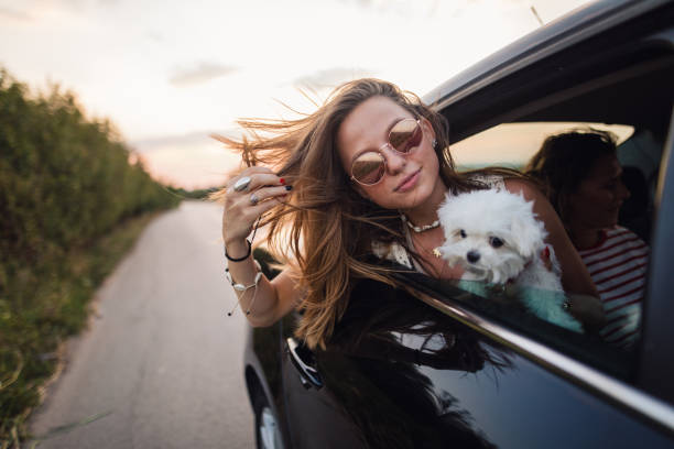 istock Summer is the best season for adventures 1176263484