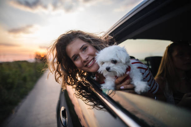 istock Me and my pet dog 1176263566