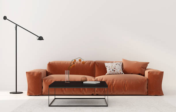 Living room with terracotta sofa Living room interior with bright terracotta sofa, black metal table and floor lamp. Autumn interior decoration / 3D illustration, 3d render terracotta color stock pictures, royalty-free photos & images
