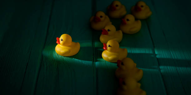istock Group of yellow rubber ducks following a single duck which is heading heading towards a shaft of light shining through the darkness, scene set on an old turquoise colored weathered wooden panel background, conceptually representing water. 1176268156
