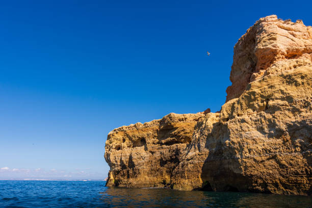 Dramatic Algarve cliffs and caves near Carvoeiro in Portugal This dramatic limestone coastline is formed of sea pillars, fragile rock arches and hidden grottos. Photographed from a boat during a sunny Summer morning. beautiful beach in carvoeiro algarve portugal stock pictures, royalty-free photos & images