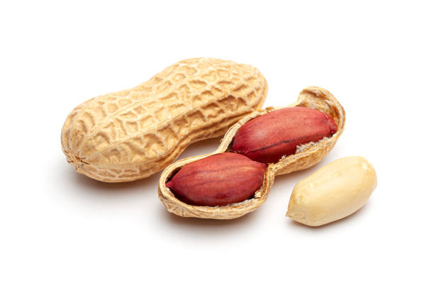 istock Dried peanuts in peel closeup isolated on white background 1176270123