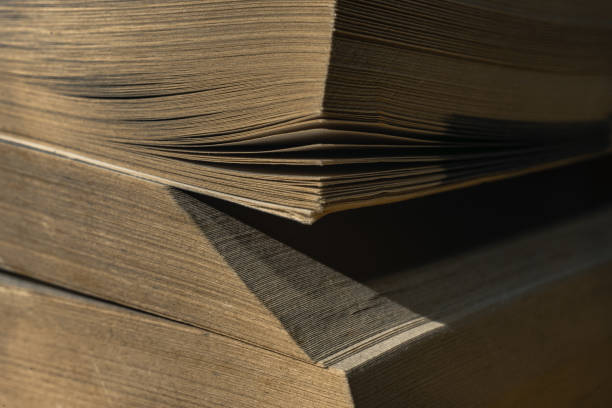 istock Close up textbooks pages background. Macro view. 1176271437