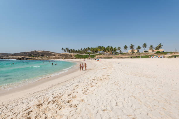 oasis beach in salalah, oman, indian ocean - oman beach nature stone imagens e fotografias de stock