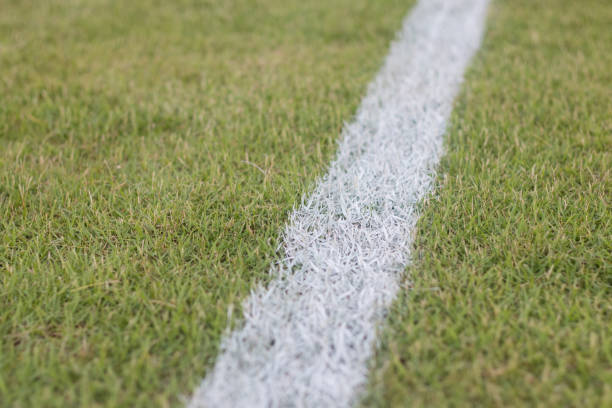 istock green grass field in soccor stadium close up 1176274834