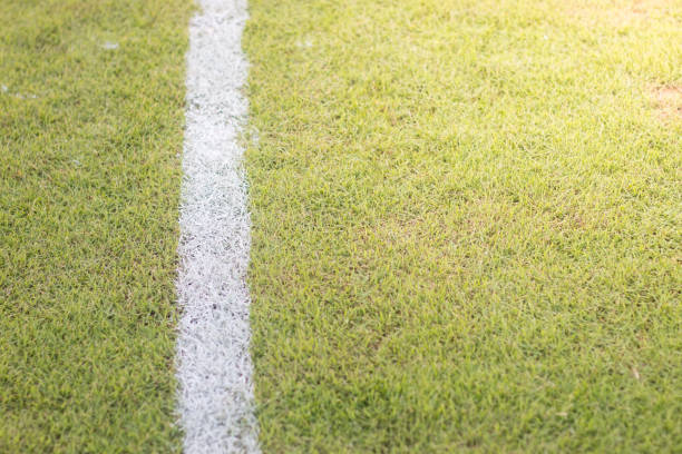 istock green grass field in soccor stadium close up 1176274844