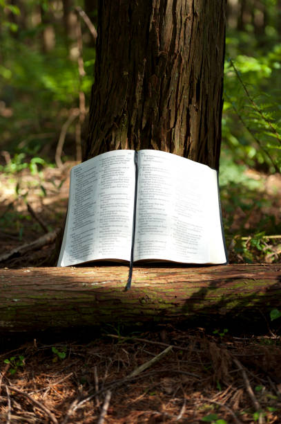 istock Holy Bible (Word of GOD) opened in Psalm 119 1176275661