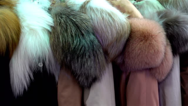 4K view of fur coats from natural fur hanging