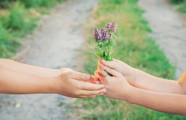 istock children hold hands together with flowers. Selective focus. 1176280152