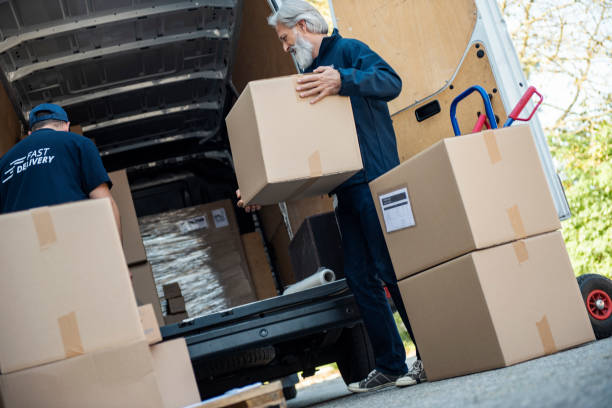 Unloading Cardboard Boxes stock photo