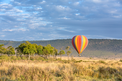 Low flying hot-air balloon in the Masai Mara, Kenya. A popular tourist excursion, shown here in early morning light.