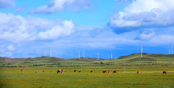 istock Horses and wind turbines in the grasslands 1176281836