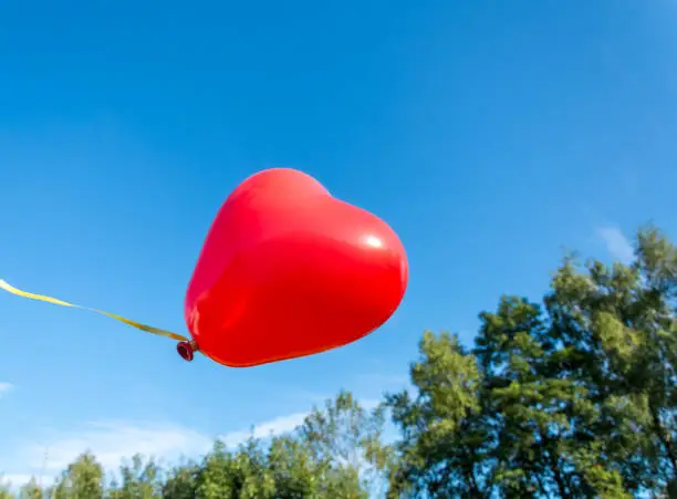 Red heart shaped party balloon floating against sunny blue sky above trees symbolic of love, a wedding or Valentines Day