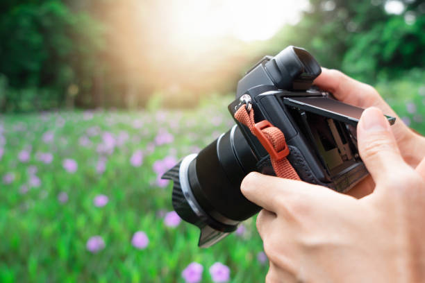 istock Hand holding camera for take photo at the garden 1176284814