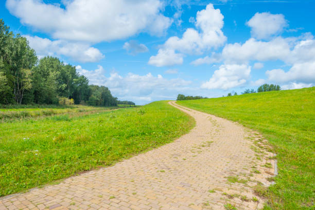 istock Green dike in a rural area below a blue cloudy sky in sunlight at fall 1176287204