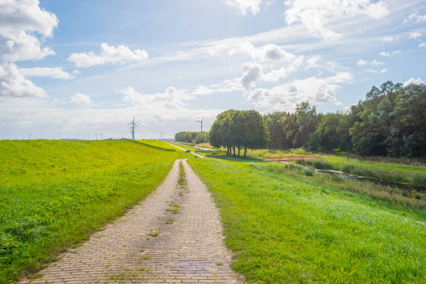 istock Green dike in a rural area below a blue cloudy sky in sunlight at fall 1176287313