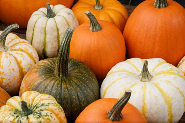 istock Assortiment of pumpkins background 1176287449