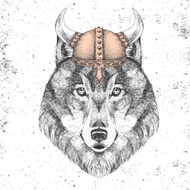 Hipster Animal Wolf Wearing A Viking Helmet Hand Drawing Muzzle Of