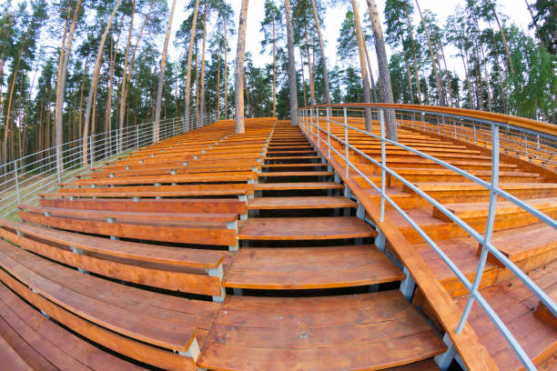 istock Wooden stands in forest 1176290634