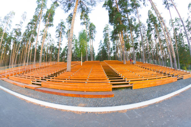 istock Wooden stands in forest 1176290639