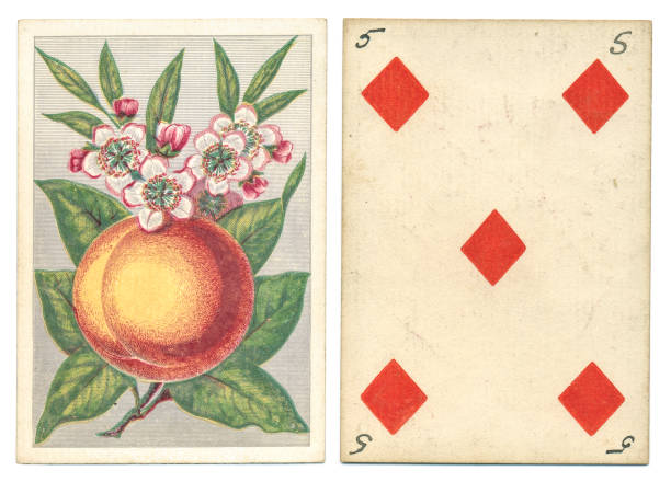Antique playing card back design peach blossom