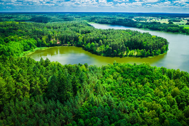 Stunning blooming algae on the lake in summer, aerial view Stunning blooming algae on the lake in summer, aerial view bory tucholskie stock pictures, royalty-free photos & images