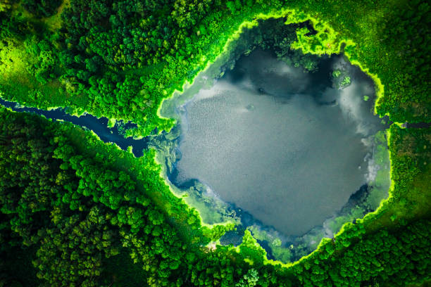 istock Stunning blooming algae on the lake in summer, flying above 1176297043