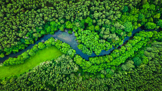Río y bosque verde en el parque natural de Tuchola, vista aérea photo