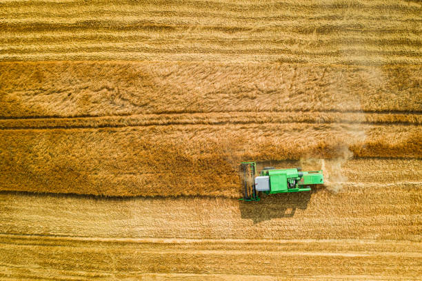 istock Flying above big harvester working on field in Poland 1176297397