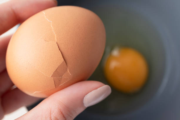 istock Woman holds brown broken organic egg, top view. Going to make an omelet from chicken eggs, farm product. Breakfast cooking concept 1176298953