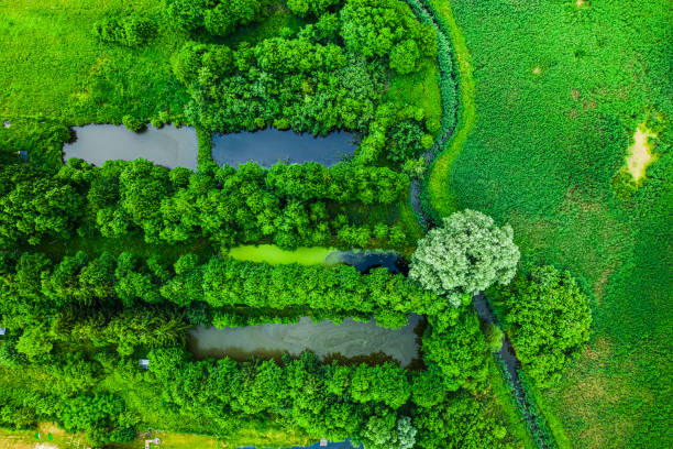 istock River and small fish ponds in summer, Poland from above 1176299747
