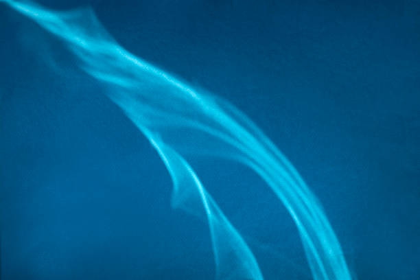 istock Sun glare and reflexes on blue texture paper 1176302539