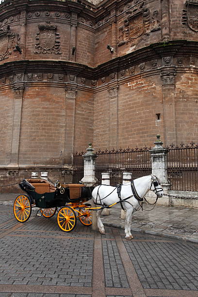 istock Traditional andalusian carriage 117631187