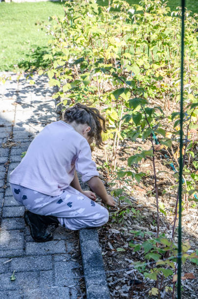 istock Girl removing weeds 1176312913