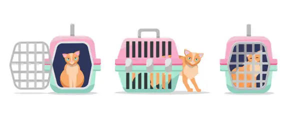 Vector illustration of Set of three positions manual plastic carrying transporter for cats on white background. Cat carrier front view, side view, with the open and closed door. Flat cartoon vector illustration