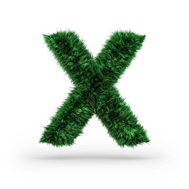 Alphabet X