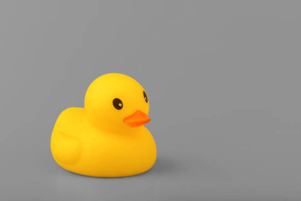 istock yellow rubber duck on grey background 1176316187