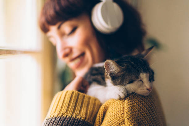 portrait of girl with cat - shorthair cat audio imagens e fotografias de stock