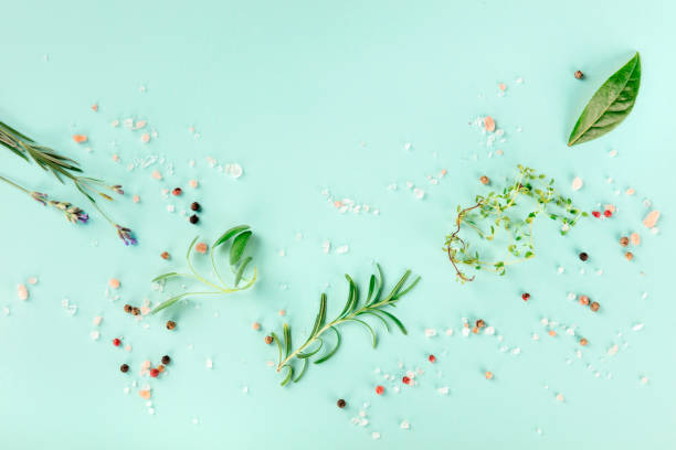 istock Culinary aromatic herbs on a teal background, a flat lay composition with copy space, a cooking design template 1176318264