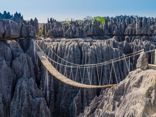 Hanging bridge over the canyon at Tsingy de Bemaraha National Park, Madagascar stock photo