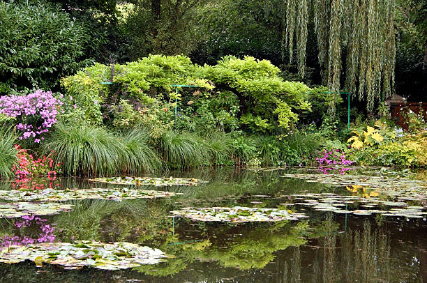An Impressionist imspiration of reflections in Monet's water garden of Giverny, France.