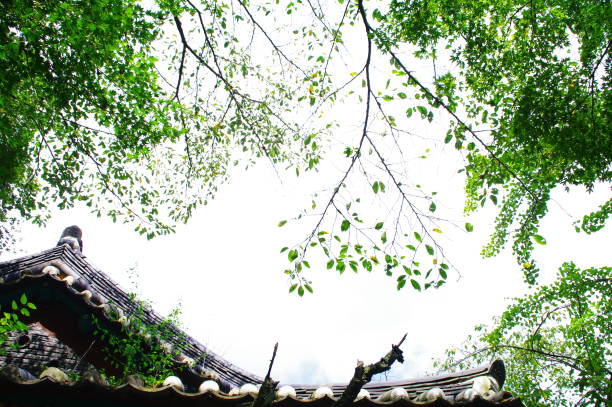 istock the scenery encountered on a pleasant walk 1176324912